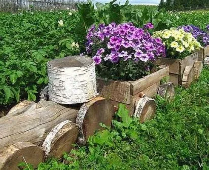Оформлення клумби біля будинку своїми руками фото (своїми) Оформлення клумби біля будинку своїми руками фото