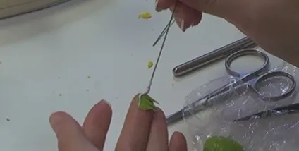 Кульбаби з полімерної глини своїми руками (полімерної) Кульбаби з полімерної глини своїми руками