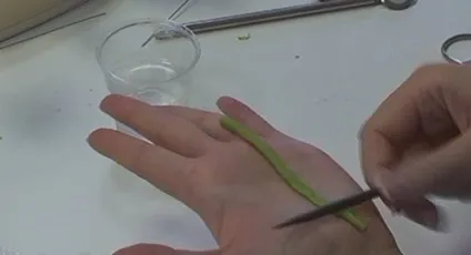 Кульбаби з полімерної глини своїми руками (наносимо латексний клей) Кульбаби з полімерної глини своїми руками