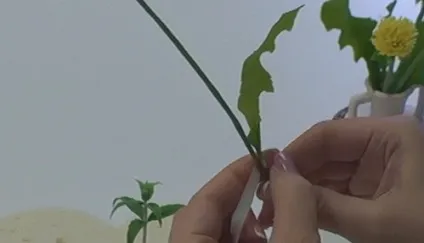 Кульбаби з полімерної глини своїми руками (полімерної) Кульбаби з полімерної глини своїми руками