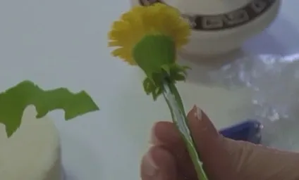 Кульбаби з полімерної глини своїми руками (полімерної) Кульбаби з полімерної глини своїми руками