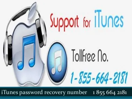 Офіційна служба підтримки itunes
