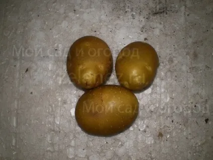 Про картоплі