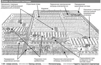 Організовуємо культурне пасовище, інформаційно-рекламна аграрна газета - АГРОІНФО (Культурна пасовище Вибираємо) Організовуємо культурне пасовище, інформаційно-рекламна аграрна газета - АГРОІНФО