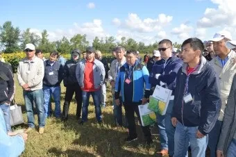 Організовуємо культурне пасовище, інформаційно-рекламна аграрна газета - АГРОІНФО (культурне) Організовуємо культурне пасовище, інформаційно-рекламна аграрна газета - АГРОІНФО