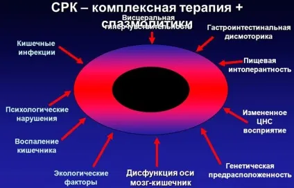 Основні правила харчування при синдромі подразненого кишечника (правила) Основні правила харчування при синдромі подразненого кишечника