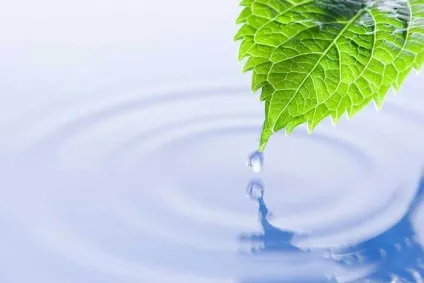 Оптово-роздрібний інтернет-магазин професійної косметики () Оптово-роздрібний інтернет-магазин професійної косметики
