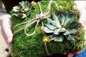 Стилі весіль короткий огляд - весільний журнал (короткий) Стилі весіль короткий огляд - весільний журнал