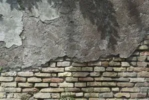 Оздоблення стін декоративною штукатуркою самостійно (самостійно) Оздоблення стін декоративною штукатуркою самостійно