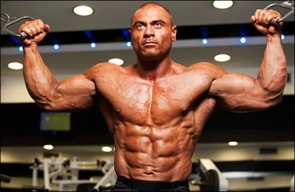 Відпочинок між підходами на масу і рельєф, wolf workout (відпочинок між підходами) Відпочинок між підходами на масу і рельєф, wolf workout