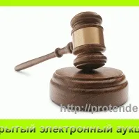 Відкритий електронний аукціон правила участі та оформлення, про тендери і держзакупівлі (електронний) Відкритий електронний аукціон правила участі та оформлення, про тендери і держзакупівлі