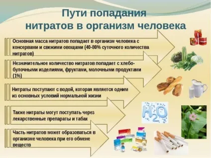 Отруєння нітратами симптоми і лікування, чим небезпечні нітрати (симптоми) Отруєння нітратами симптоми і лікування, чим небезпечні нітрати