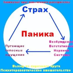 Панічний розлад і напади паніки, симптоми, лікування (напади) Панічний розлад і напади паніки, симптоми, лікування