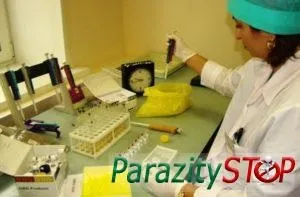 Паразитарні хвороби у корів і їх лікування