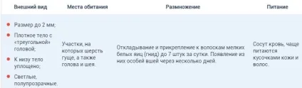 Паразити у кішок, види, ознаки, виведення і профілактика (профілактика) Паразити у кішок, види, ознаки, виведення і профілактика