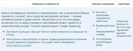 Паразити у кішок, види, ознаки, виведення і профілактика (ознаки) Паразити у кішок, види, ознаки, виведення і профілактика