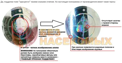 Кат від клопів інструкція із застосування, відгуки і де можна купити препарат (купити) Кат від клопів інструкція із застосування, відгуки і де можна купити препарат