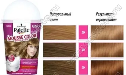 Палітра palette mousse color