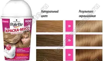 Палітра palette mousse color