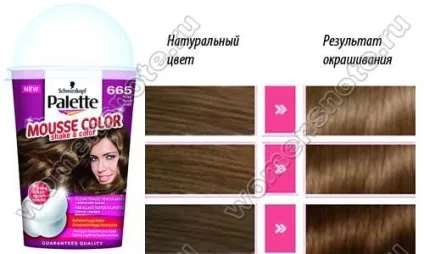 Палітра palette mousse color