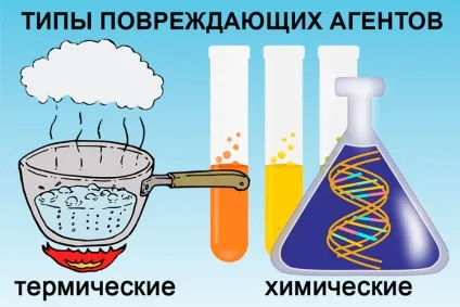 Опік гортані і слизової горла - симптоми і лікування (гортані) Опік гортані і слизової горла - симптоми і лікування