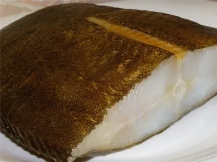 Палтус, пангасіус і морський язик в чому відмінність (палтус) Палтус, пангасіус і морський язик в чому відмінність