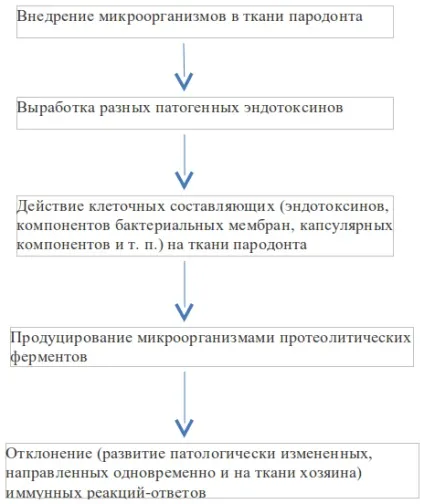 Пародонтит і гінгівіт - лікування препаратами місцевої дії (лікування) Пародонтит і гінгівіт - лікування препаратами місцевої дії