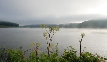 Павлівське водосховище