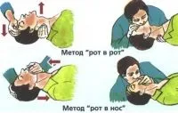 перша мед