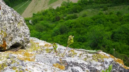 Печерні міста Ескі-Кермен в криму фото, як добиратися, що подивитися (криму) Печерні міста Ескі-Кермен в криму фото, як добиратися, що подивитися