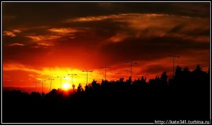 Петербург без допінгу