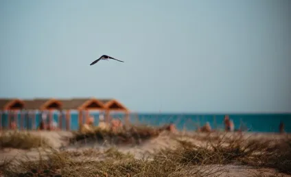 Піщані пляжі криму
