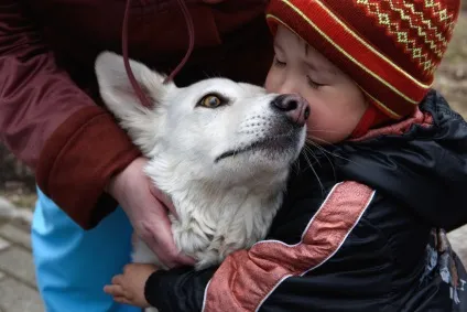 Пес його знає - такі справи (Detection Dogs Великобританія Фото) Пес його знає - такі справи
