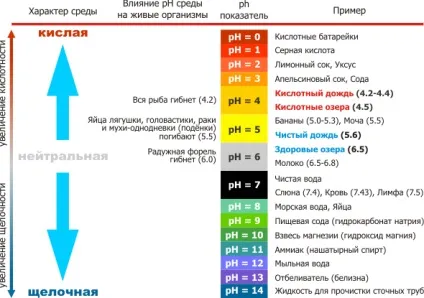 Персональний сайт - як правильно вибрати тосол (тосол) Персональний сайт - як правильно вибрати тосол