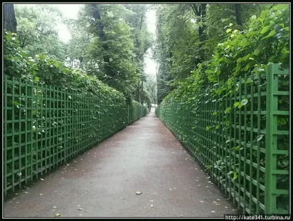 Петербург без допінгу