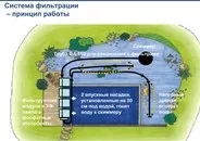 Плавальний ставок