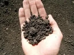 Платимо земельний податок для ип