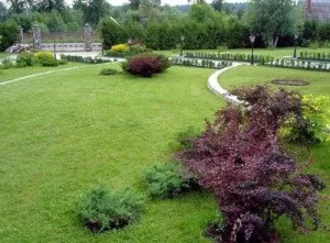 Планування і дизайн великої ділянки - 30, 40, 50 соток (великого) Планування і дизайн великої ділянки - 30, 40, 50 соток