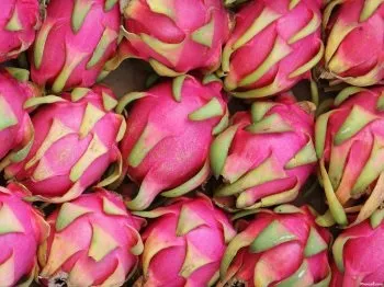 Пітаї або пітахайя - екзотичний фрукт (серце дракона), відгуки та коментарі