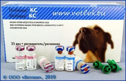 розплідниковий кашель