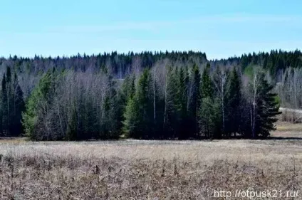 Пістікі звуть або світ, труд, май по-нашому, світ подорожей онлайн (велика кількість машин) Пістікі звуть або світ, труд, май по-нашому, світ подорожей онлайн