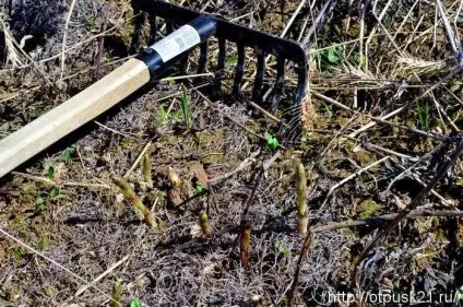 Пістікі звуть або світ, труд, май по-нашому, світ подорожей онлайн (пістікі) Пістікі звуть або світ, труд, май по-нашому, світ подорожей онлайн