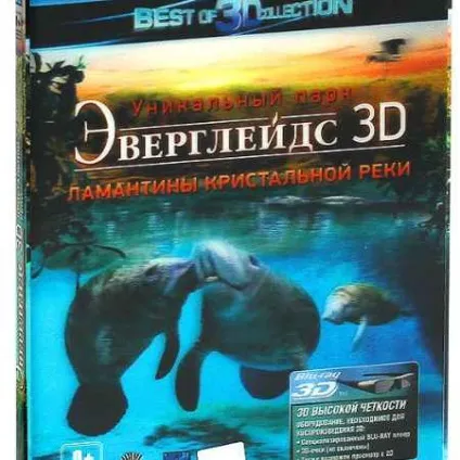 Планета кішок британські короткошерсті кішки - хочу все знати