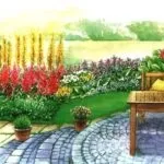 Чому сохне астільба що робити сохнуть листя у астильби (астільба) Чому сохне астільба що робити сохнуть листя у астильби