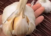 Чому блакитна ель- блакитна