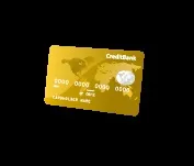 Плюси і мінуси кредитної картки «преміум» (преміум) Плюси і мінуси кредитної картки «преміум»