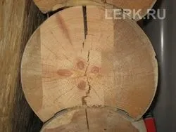 Чому деревина всихає