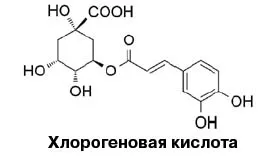 Чому кава працює як проносне і сечогінний - зожнік (працює) Чому кава працює як проносне і сечогінний - зожнік