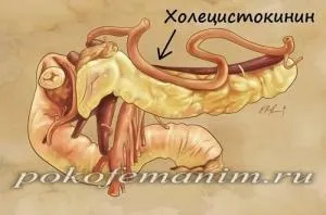 Чому кава діє як проносне (діє) Чому кава діє як проносне
