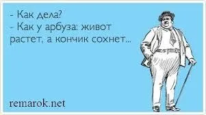 Чому голову порівнюють з гарбузом, а живіт - з кавуном гарбуз розумнішими кавуна (гарбуз) Чому голову порівнюють з гарбузом, а живіт - з кавуном гарбуз розумнішими кавуна
